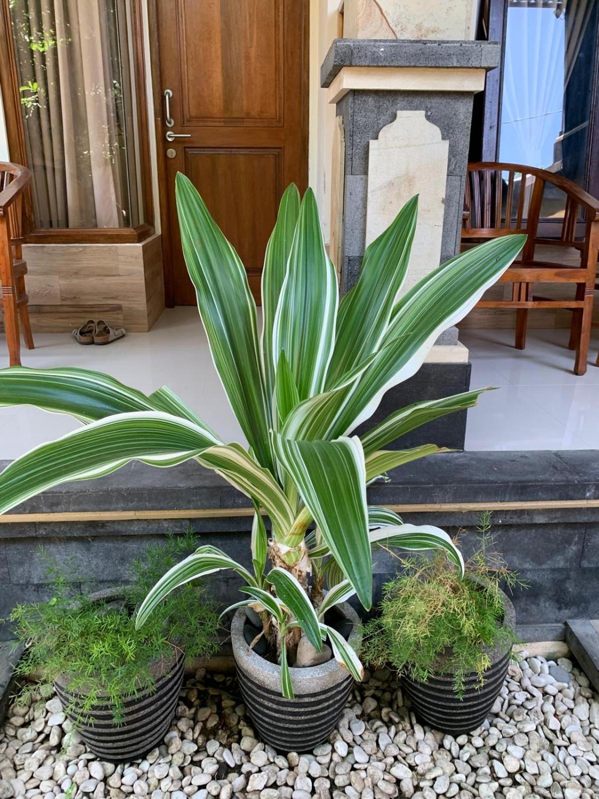 Jepun Inn Padangbai  Exterior photo